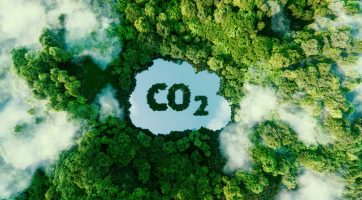 Concept depicting the issue of carbon dioxide emissions and its impact on nature in the form of a pond in the shape of a co2 symbol located in a lush forest. 3d rendering.